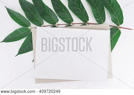 Mockup For Greeting Cards, Invitation Cards, Business Card, Thank You Card Of White And Dark Cardboa