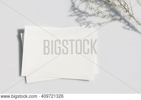 Mockup Poster Or Flyer For Presentation White Sheets Of Paper With Shadow Of A Plant On A Gray Backg