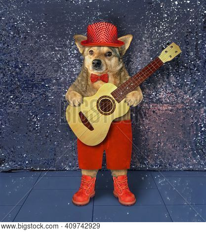 A Beige Dog In A Red Clothing With An Acoustic Guitar Is Singing A Song On A Stage.