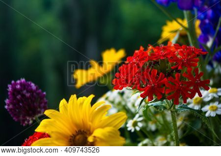 A Bouquet Of Bright Spring Flowers Of Various Types