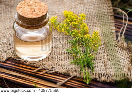 Galium Verum, Lady's Bedstraw Or Yellow Bedstraw. Squeezed From Fresh Grass Juice And Diluted For Fu