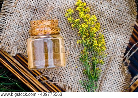 Galium Verum, Lady's Bedstraw Or Yellow Bedstraw. Squeezed From Fresh Grass Juice And Diluted For Fu