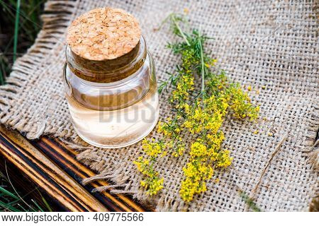 Galium Verum, Lady's Bedstraw Or Yellow Bedstraw. Squeezed From Fresh Grass Juice And Diluted For Fu
