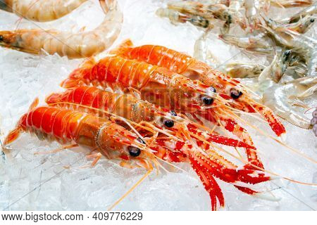 Seafood on ice at the fish market, crayfish 