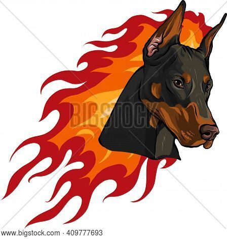 Head Of Dobermann Dog With Flames Vector Illustration