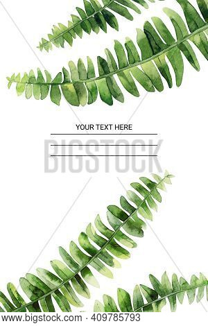 Watercolour Fern. Watercolor Plant Frame. Nature Design For A Greeting, Wedding Invitation, Postcard