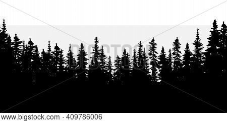 Dark Forest. Natural Abstract Landscape Background. Realistic Vector Illustration. Stock Image. Eps 