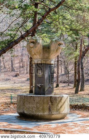 Chungbuk, South Korea;feb.21, 2021: Lions Club Drinking Fountain Located In Songnisan National Park 