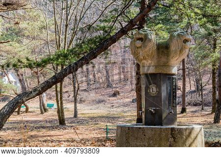 Chungbuk, South Korea;feb.21, 2021: Lions Club Drinking Fountain Located In Songnisan National Park 