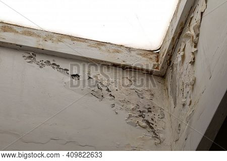Mold, Mildew On The Wall In Humid Places. The Most Destructive Fungus Due To Moisture And Lack Of Ve