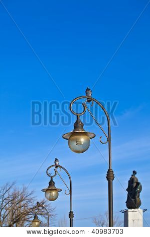Il piccione è seduto sulla lampada
