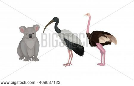 Koala Bear And Emu Bird As Australian Animals Vector Set
