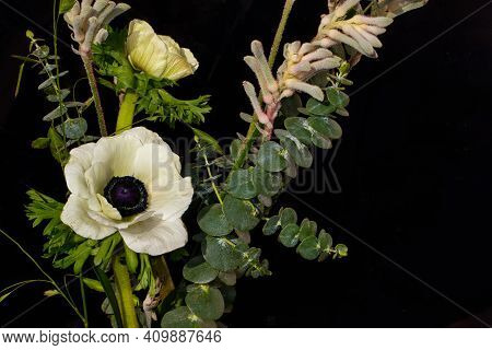 Bouquet Of Kangaroo Paw And Anemone Flowers On The Black Background. Close-up Of Lively Nature.