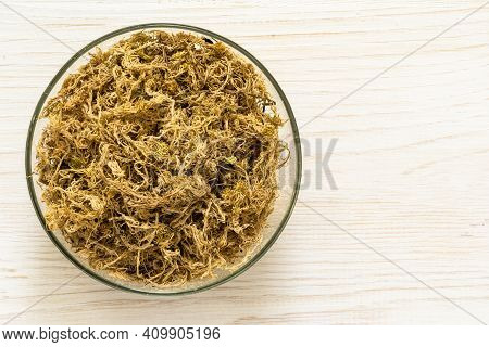 Pile Of Dry Sphagnum Moss In Bowl On White Wood Background