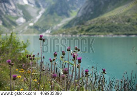 Beautiful Mountain Lake Gelmersee In Bern Switzerland