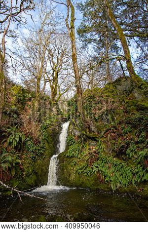 Waterfall In The Forest At Pedder Bay, British Columbia, Canada