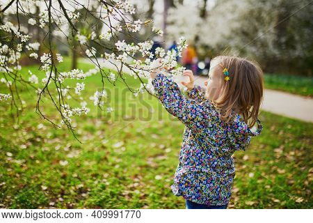 Adorable Little Girl Enjoying Nice And Sunny Spring Day Near Apple Tree In Full Bloom. Outdoor Sprin