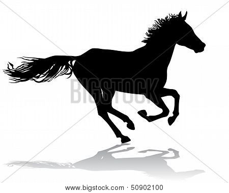 Horse Running