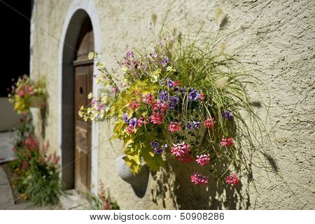 wall and flowers