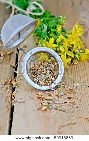 Herbal Tea From Tutsan Dry And Fresh In A Strainer