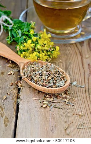 Herbal Tea From Tutsan Dry And Fresh On The Spoon