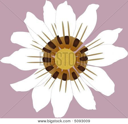 Flor