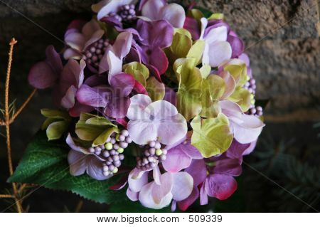Fleur d'hortensia