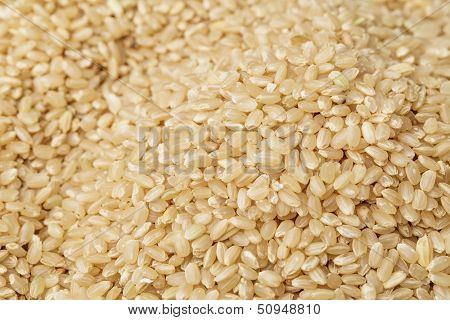 Brown rice