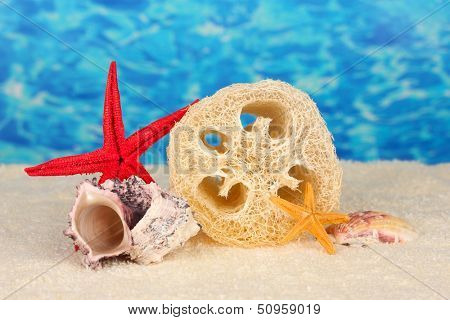Loofah on color background