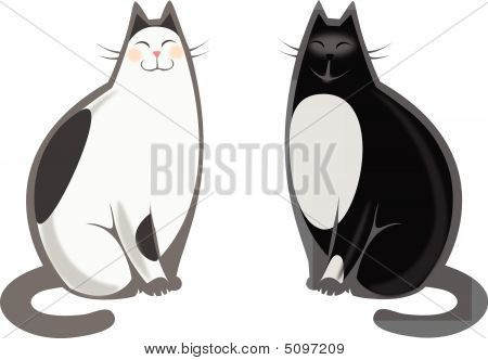 Černé & japonský kočky