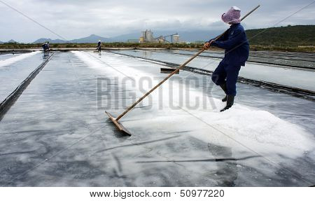 Salt worker working on saline