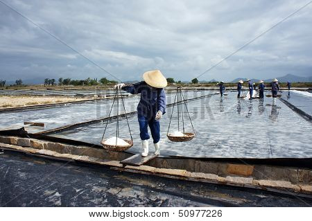 Salt worker working on saline