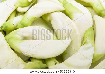 Vegetable Humming Bird Sesban Agasta As Food Background