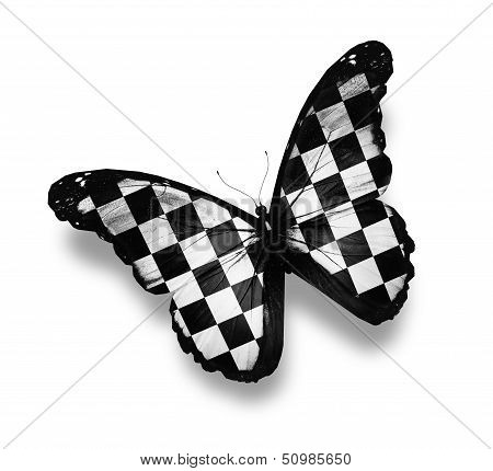 ?heckered Flag Butterfly, Isolated On White