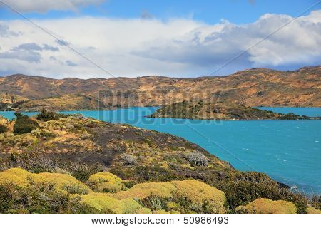 Yellow and green hilly lakeside Pehoe. National Park Chile - Torres del Paine