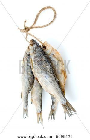 Vijf gedroogde zee vissen op het touw Roach