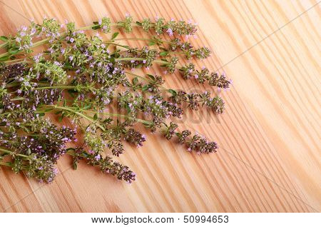 Bunch Of Thyme