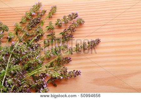 Thyme Flowers