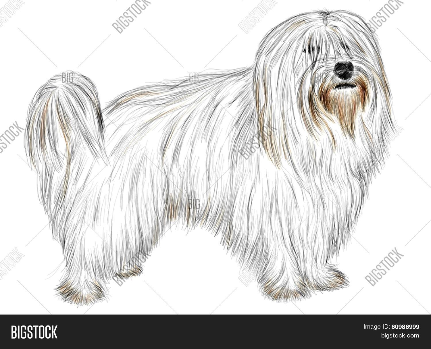 Hand Drawing Image & Photo (Free Trial) Bigstock