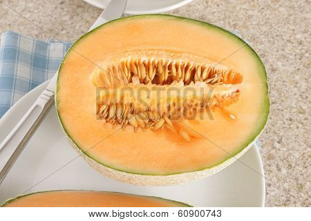 Cantaloupe