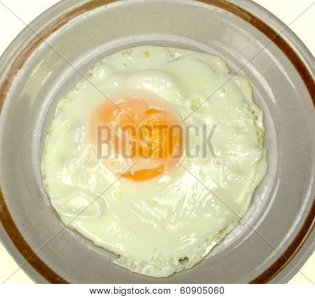 Fried Egg