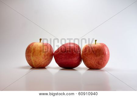 Fruit Still Life
