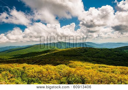 View Of The Blue Ridge Mountains From Stony Man Mountain, In Shenandoah National Park, Virginia.