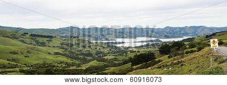 Coastline At Akaroa In New Zealand