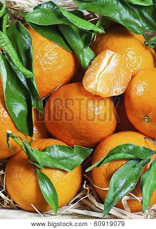 Fresh Tangerines With Leaves