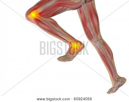 Conceptual 3D human man anatomy or health design, joint or articular pain, ache injury isolated on white background, for medical, fitness, medicine, bone, care, hurt, osteoporosis, arthritis or body