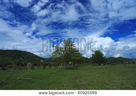 Green field and bright blue sky with cumulus clouds