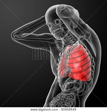 lung