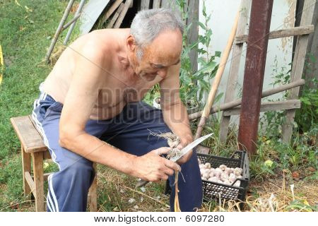 Großvater arbeitete auf dem Bauernhof