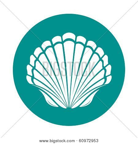Scallop sea shell